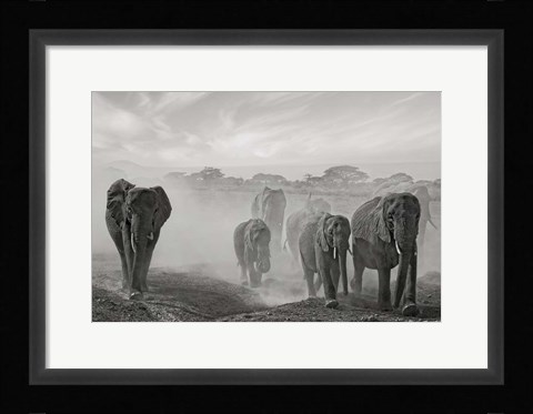 Framed Sequence Of Emotion Print