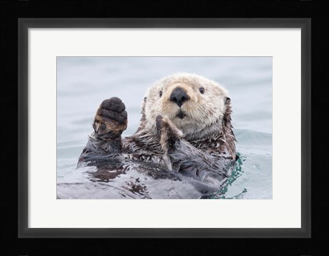 Framed Yesterday I Caught A Fish This Big! - Otter, Alaska Print