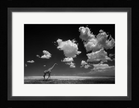 Framed Gone With The Clouds Print