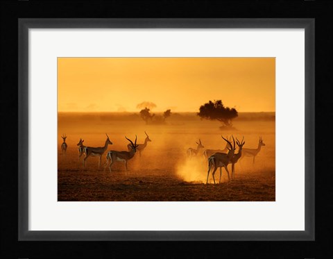 Framed Sentinels Print