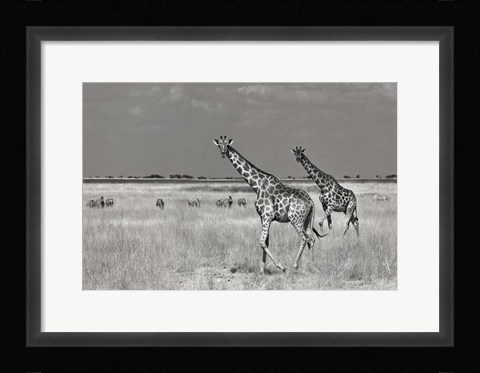 Framed Tourists Spend Print