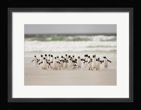 Framed Desembarco Print