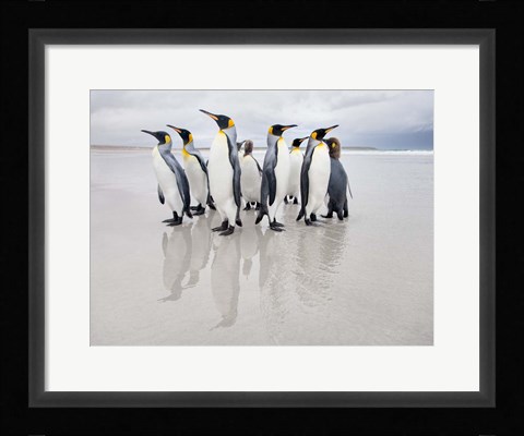 Framed Bodyguard Print