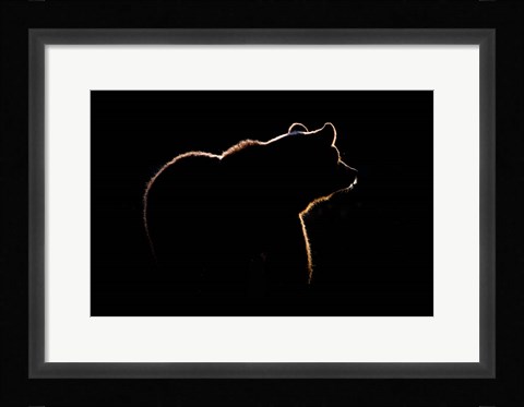 Framed Highlight Print