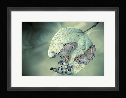 Framed Duet Print