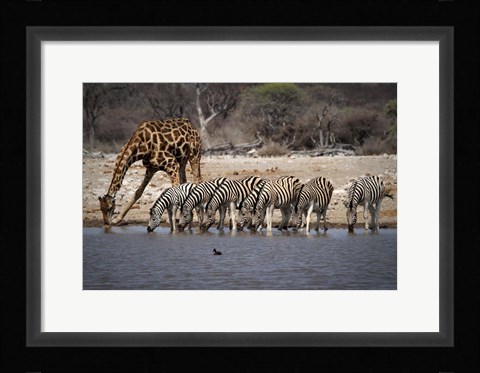 Framed Together At The Bar Print