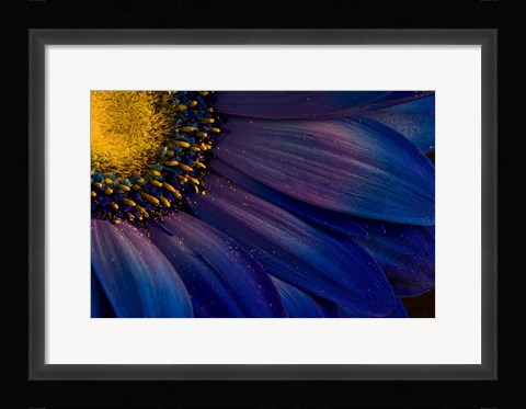Framed Blue Rays Print
