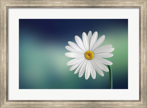 Framed Flower Print