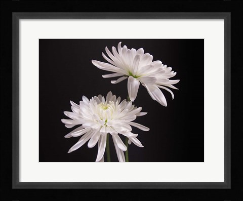 Framed Simple Beauty Print