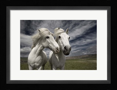 Framed Inseparables Print