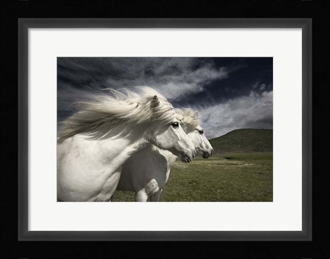 Framed Interplay Print