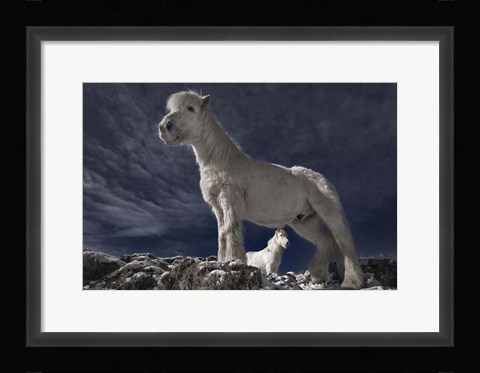 Framed Partners II Print