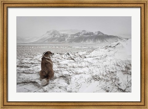 Framed Snowstorm Print