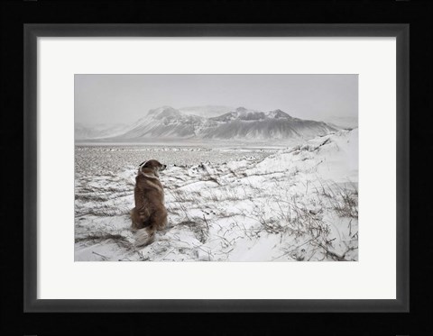 Framed Snowstorm Print