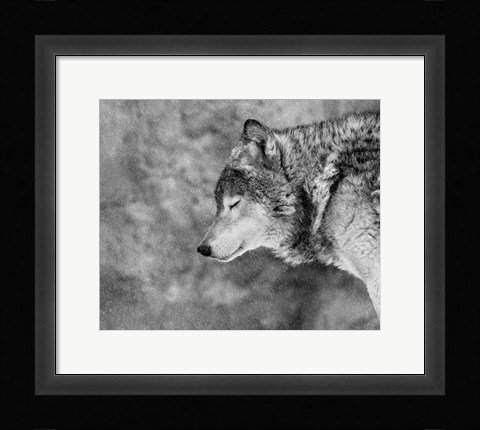 Framed Let It Snow Print