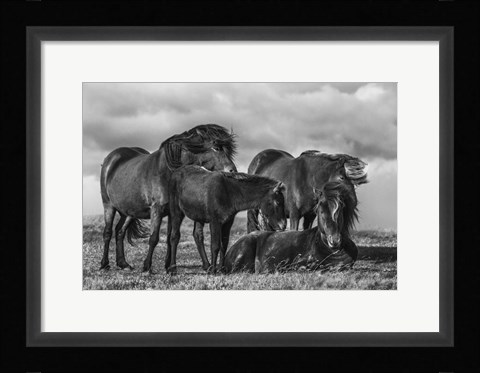Framed Happy Family Print