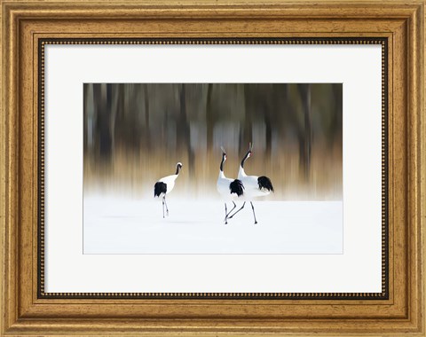 Framed Sing A Song Of Love Print