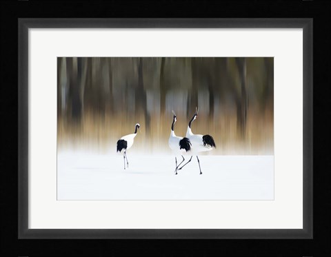 Framed Sing A Song Of Love Print