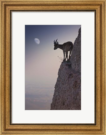 Framed By A Bouquet Of Flowers Print