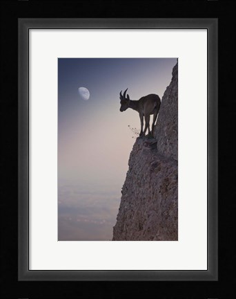 Framed By A Bouquet Of Flowers Print