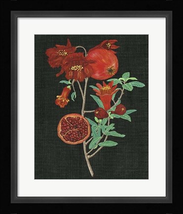 Framed Pomegranate Study I Print