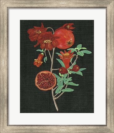 Framed Pomegranate Study I Print