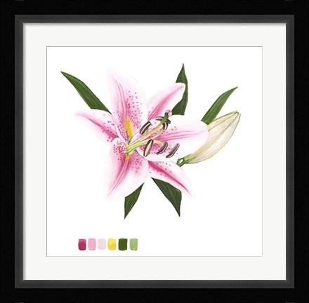 Framed Brighton Blooms II Print