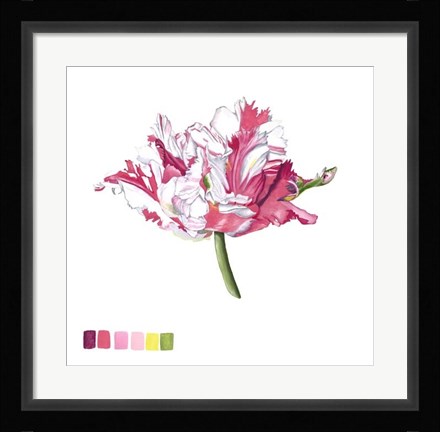 Framed Brighton Blooms V Print