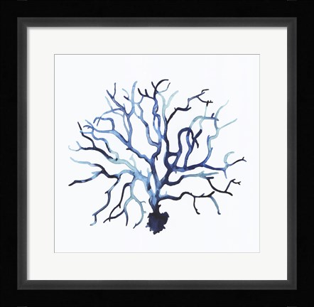 Framed Fan de la Mer II Print