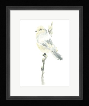 Framed Avian Impressions I Print