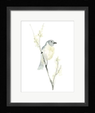 Framed Avian Impressions III Print