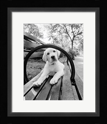 Framed Never Doubt That You Can Print