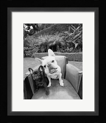 Framed Always Friends Print