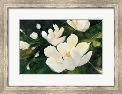 Framed Magnolia Blooms No Petal Print