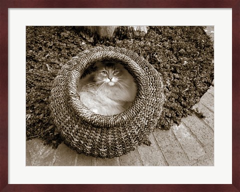 Framed Cat in a Basket Print