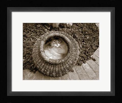 Framed Cat in a Basket Print