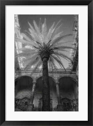 Framed Palermo Print