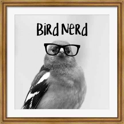 Framed Bird Nerd - Chaffinch Print