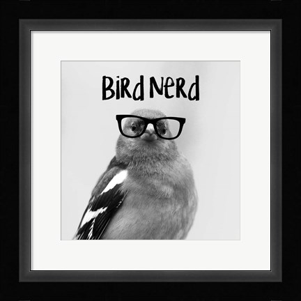 Framed Bird Nerd - Chaffinch Print