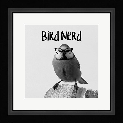 Framed Bird Nerd - Blue Tit Print