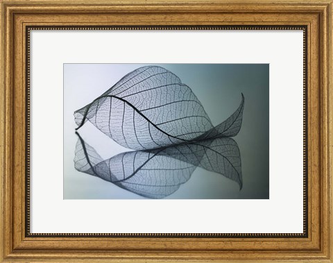 Framed Curvaceousness Print