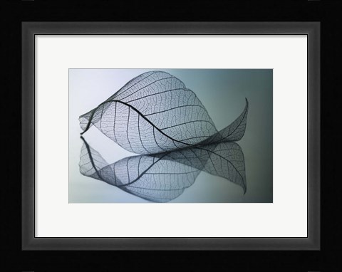 Framed Curvaceousness Print