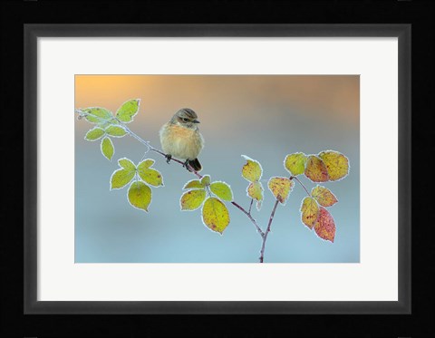 Framed Winter Colors Print
