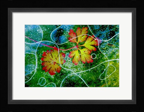 Framed Thaw Print