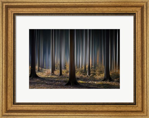 Framed Mystic Wood Print
