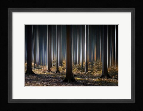 Framed Mystic Wood Print