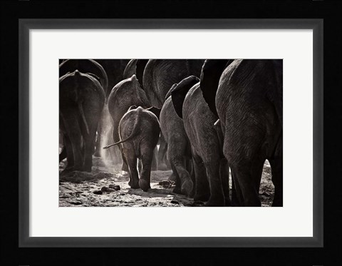 Framed Walking Home Print