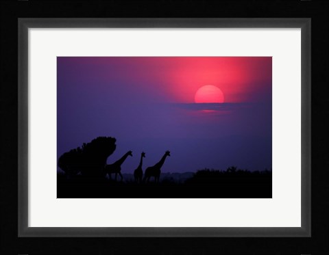 Framed Sunrise In Uganda Print