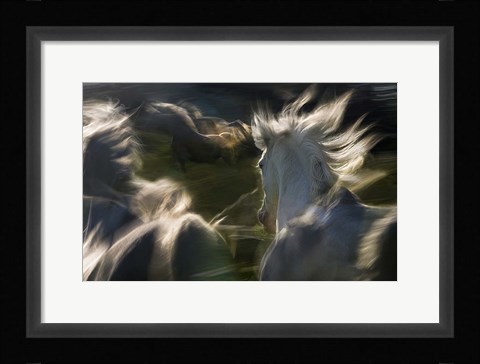 Framed Esata Equina Print