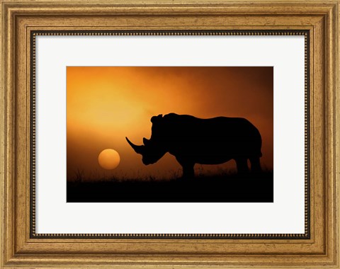 Framed Rhino Sunrise Print